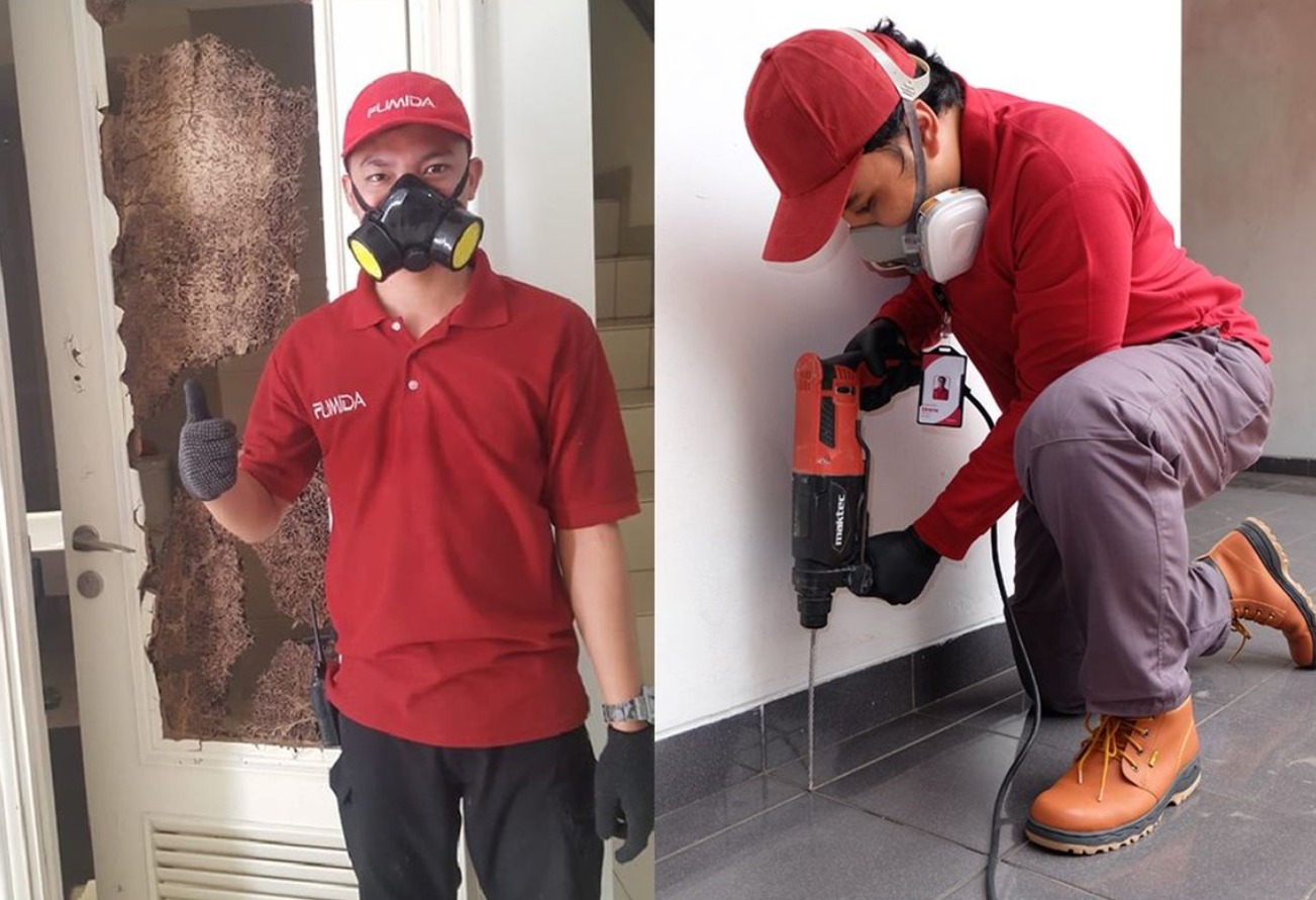 Read more about the article Keuntungan Memakai Jasa anti rayap